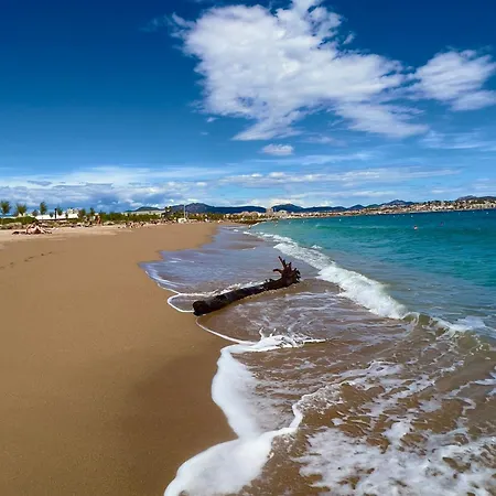 Les Cactus Frejus Plage Exterior photo